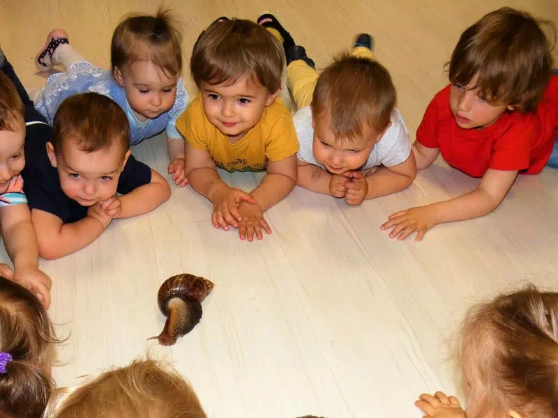 Przedszkolaki bawią się ze ślimakiem
