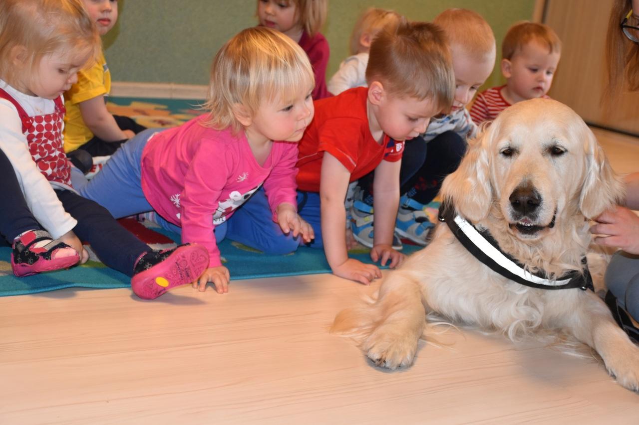 Dogoterapia u Puchatków 25.02.2020