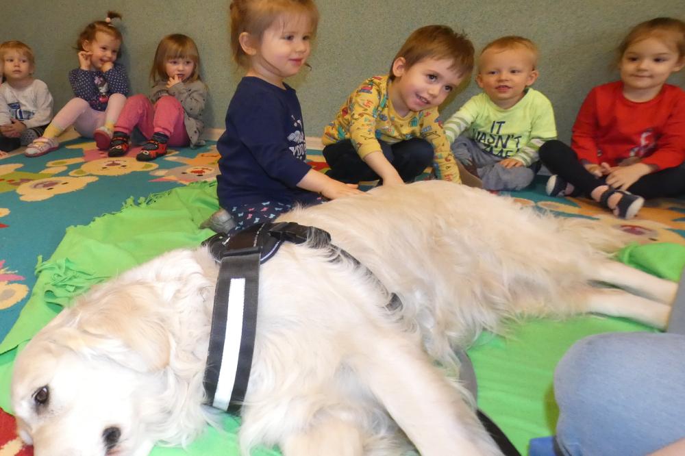 Dogoterapia u Tygrysków 25.02.2020
