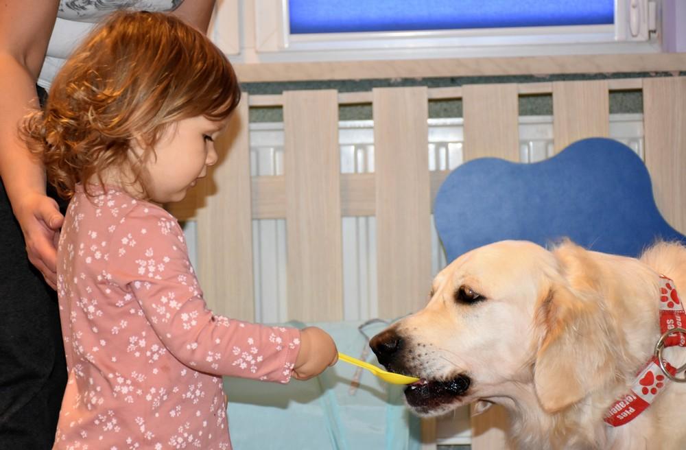 dogoterapia w żłobku