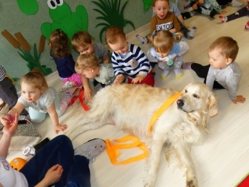Dzieci siedzące z psem, dogoterapia