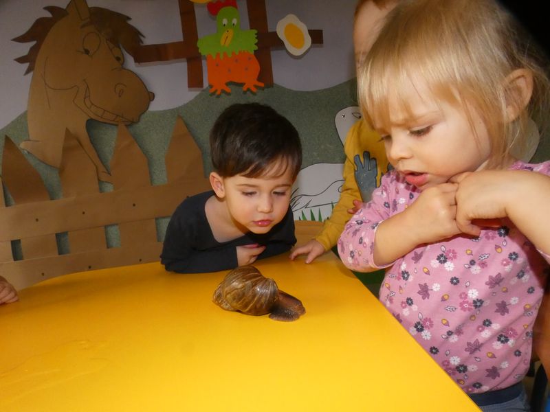 Dzieci patrzą na ślimaka