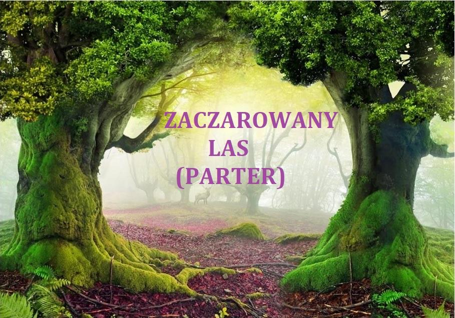 zaczarowany las parter Elfik